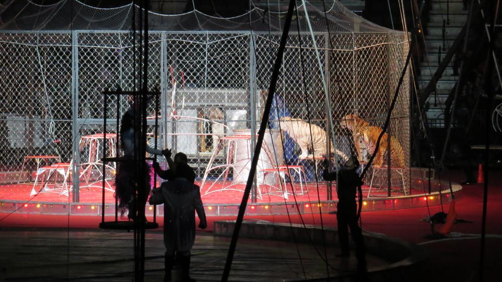 click for larger size