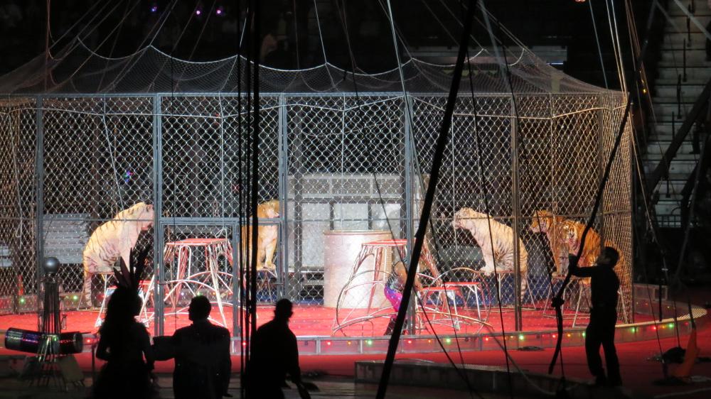 click for larger size