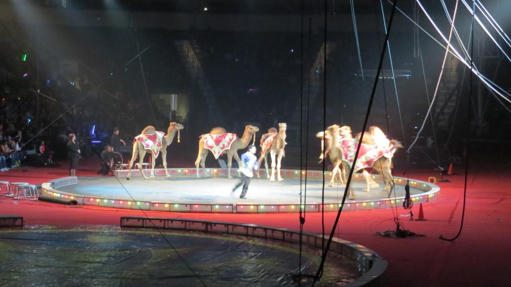 click for larger size