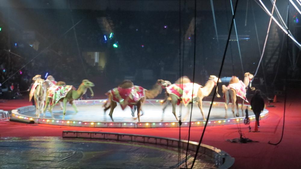 click for larger size