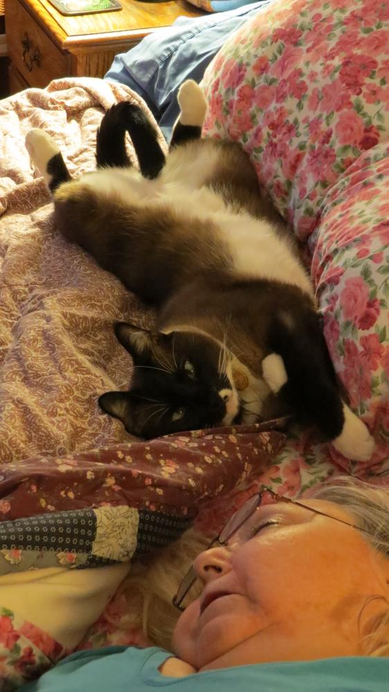 click for larger size