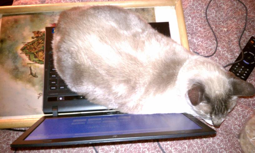 click for larger size