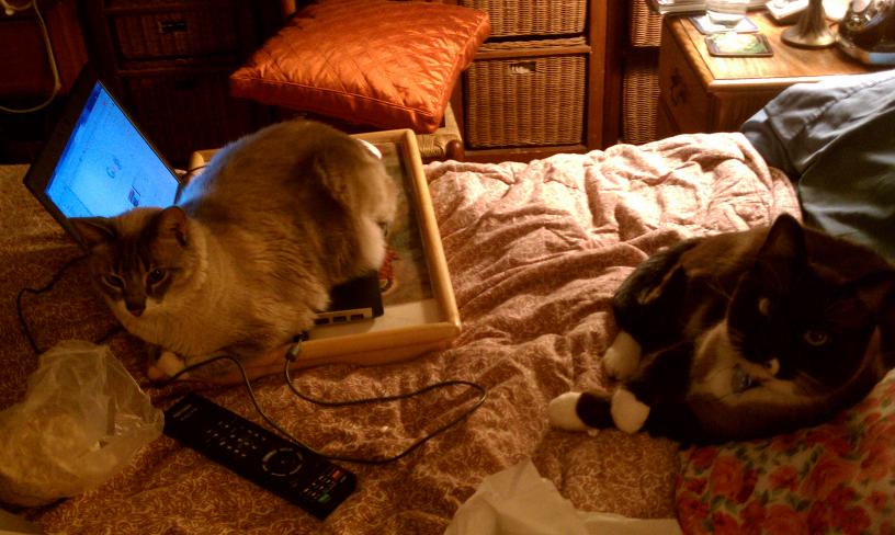 click for larger size