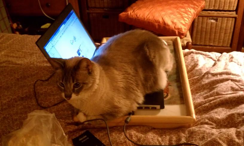 click for larger size