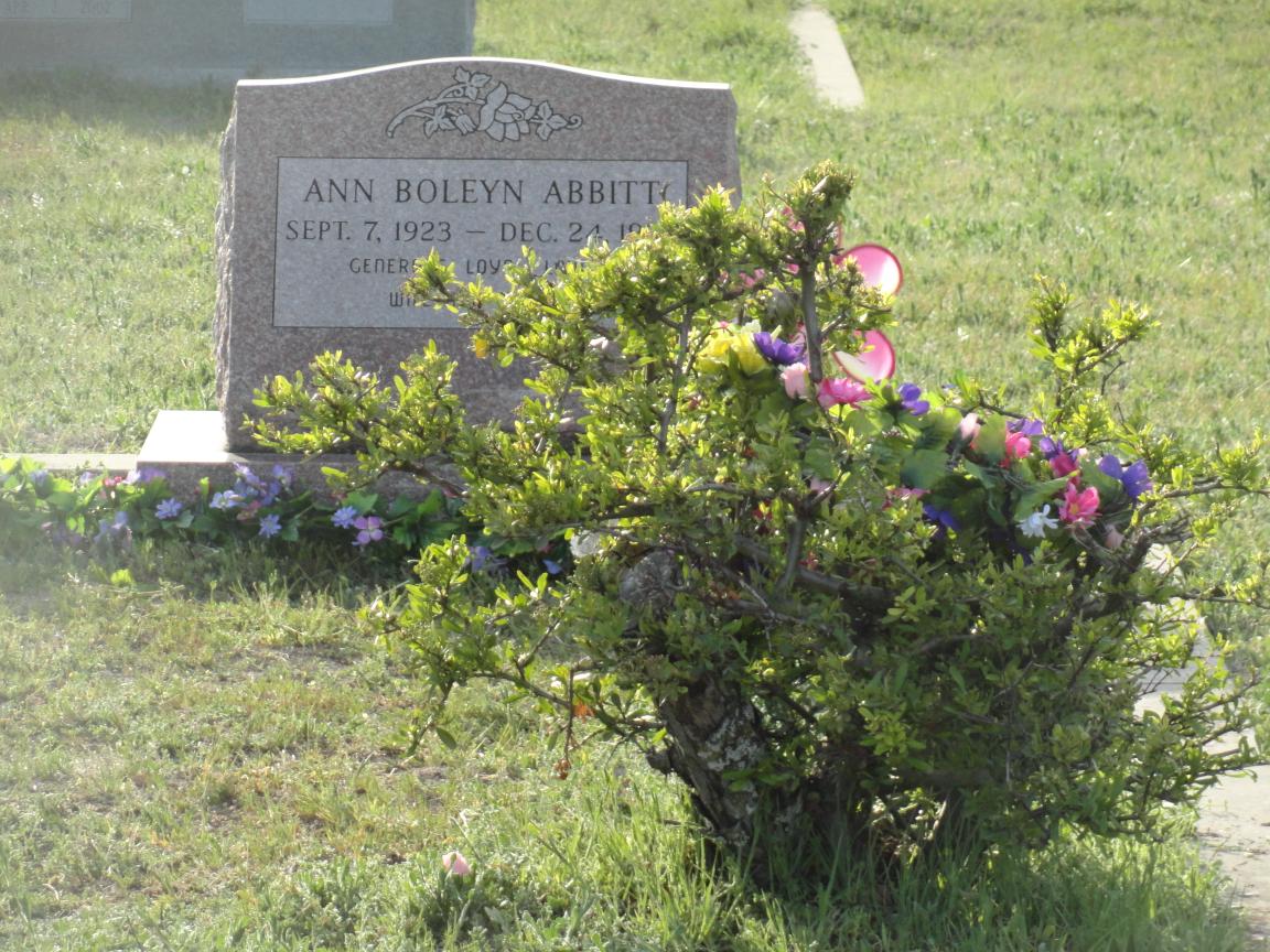 click for larger size