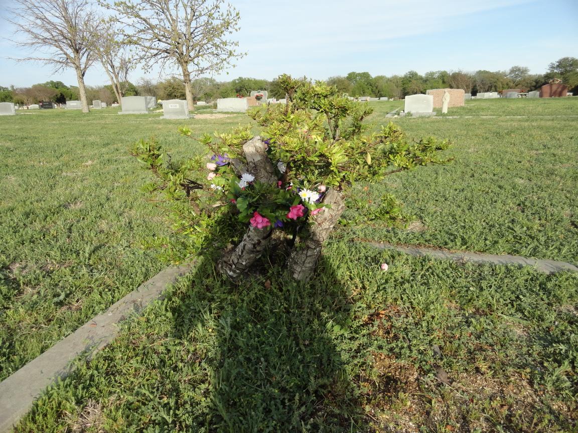 click for larger size