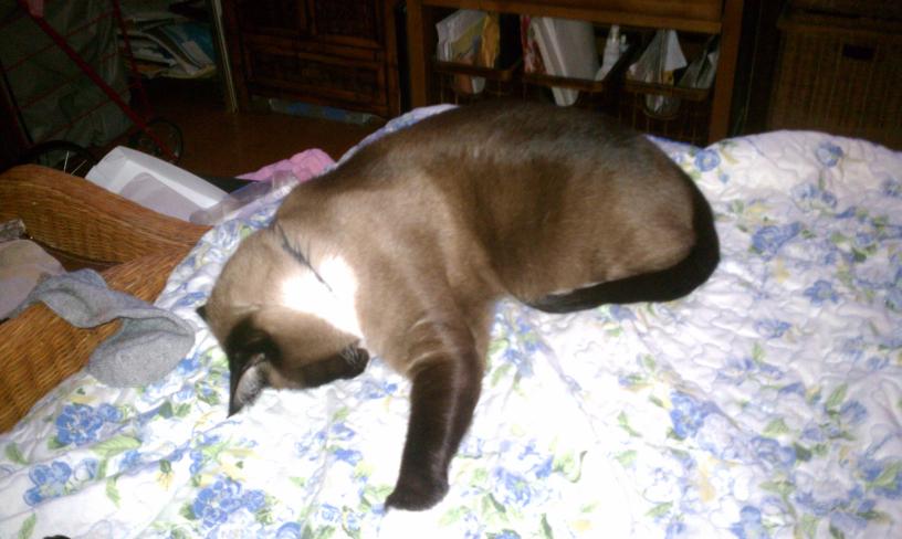 click for larger size