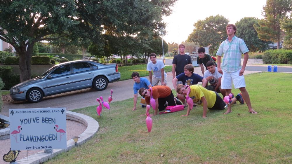 click for larger size