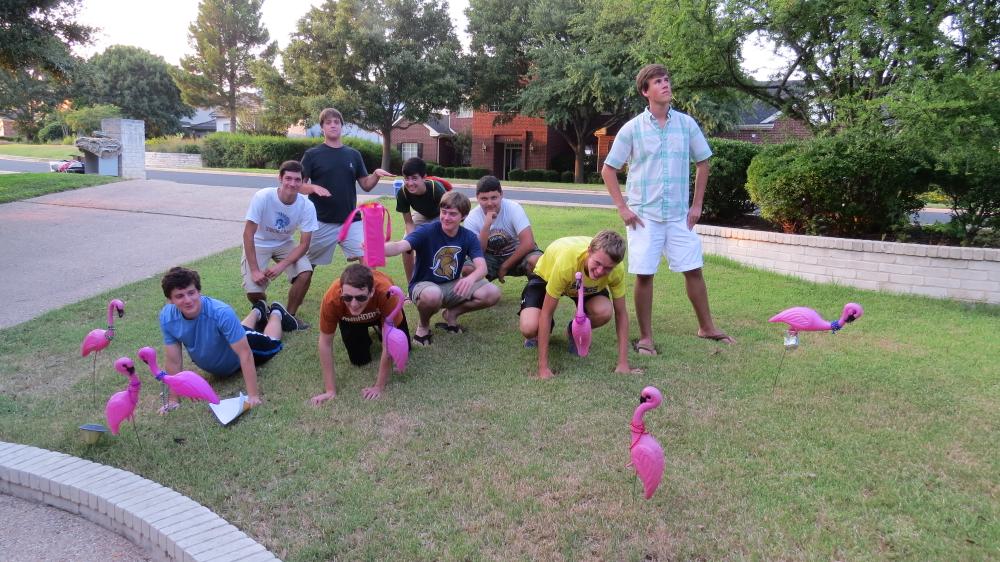 click for larger size