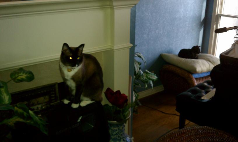 click for larger size