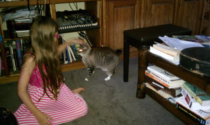 click for larger size