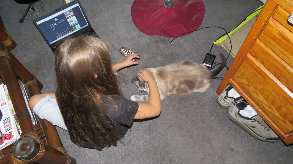 click for larger size