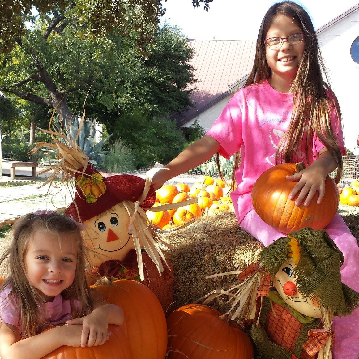 click for larger size