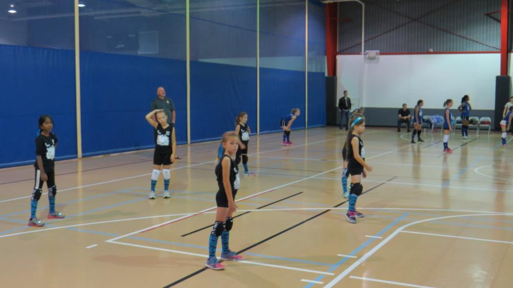 click for larger size