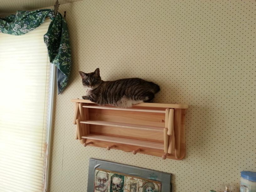 click for larger size