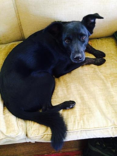 click for larger size