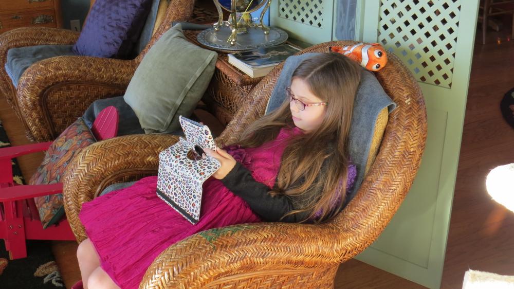 click for larger size