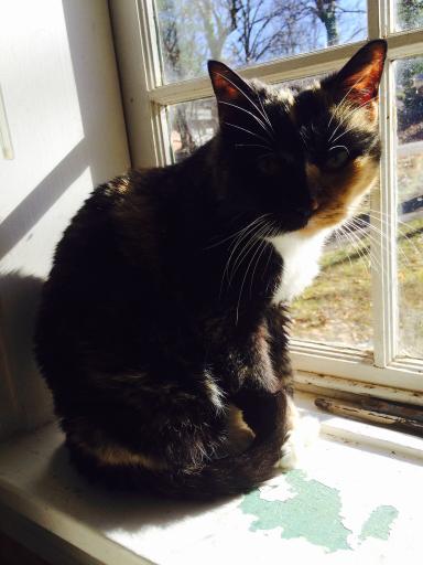 click for larger size