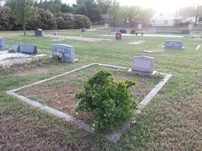 click for larger size