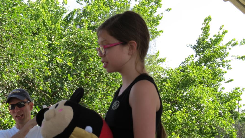 click for larger size