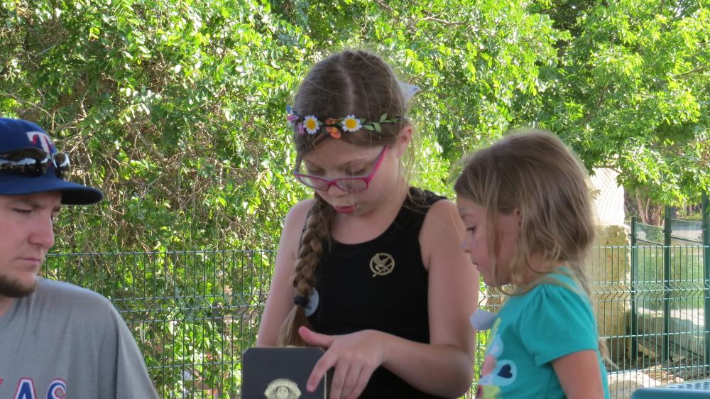 click for larger size