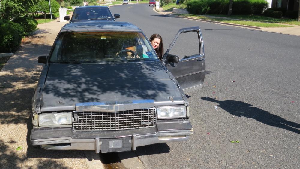 click for larger size