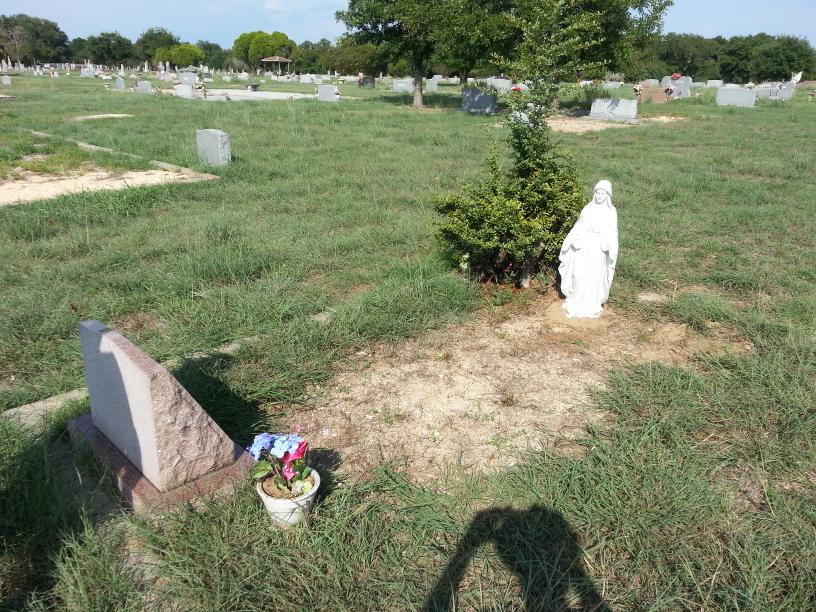 click for larger size