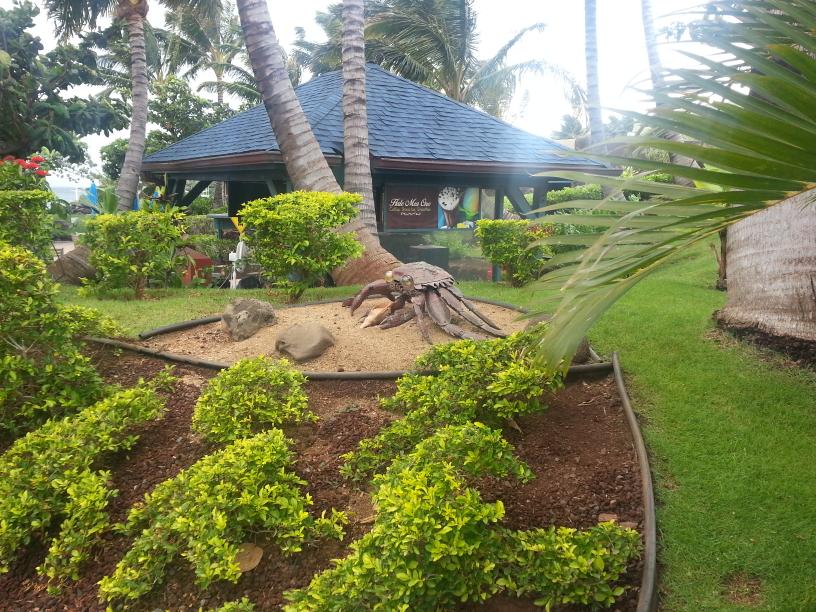 click for larger size