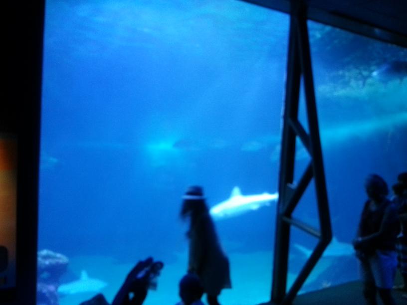 click for larger size