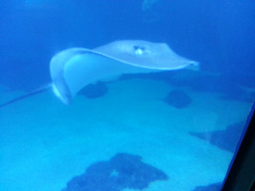 click for larger size