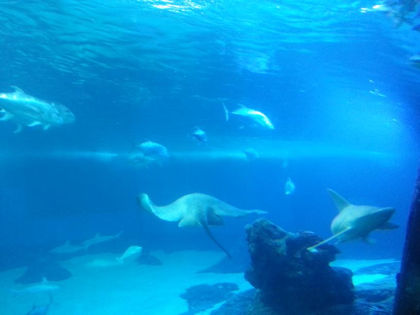 click for larger size