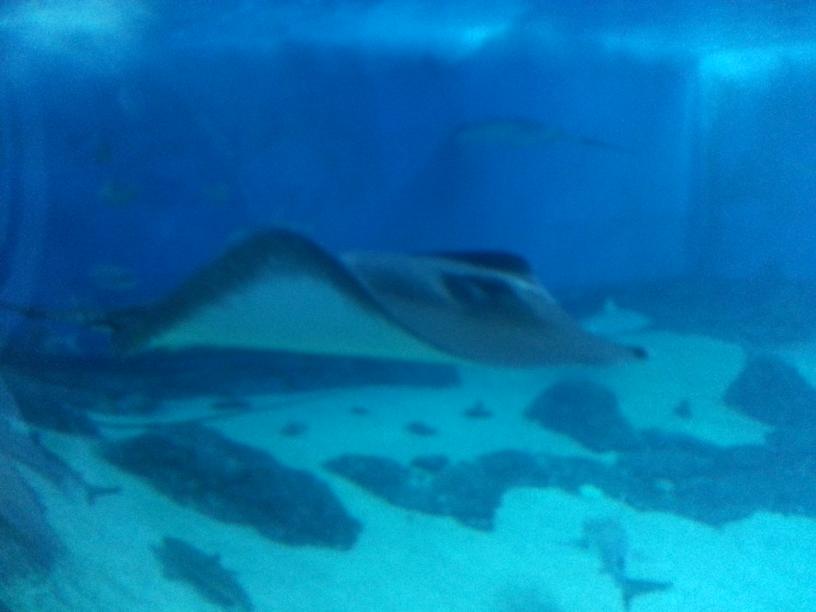 click for larger size