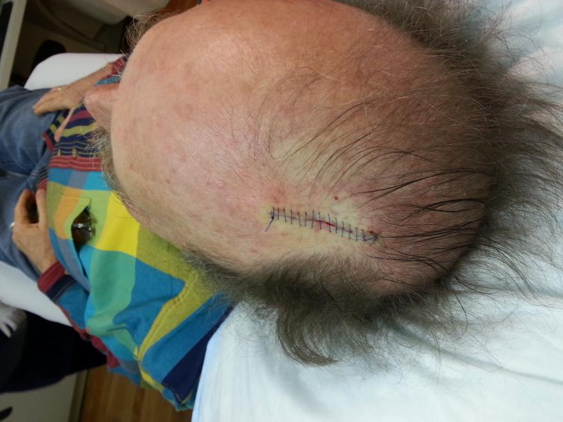 click for larger size