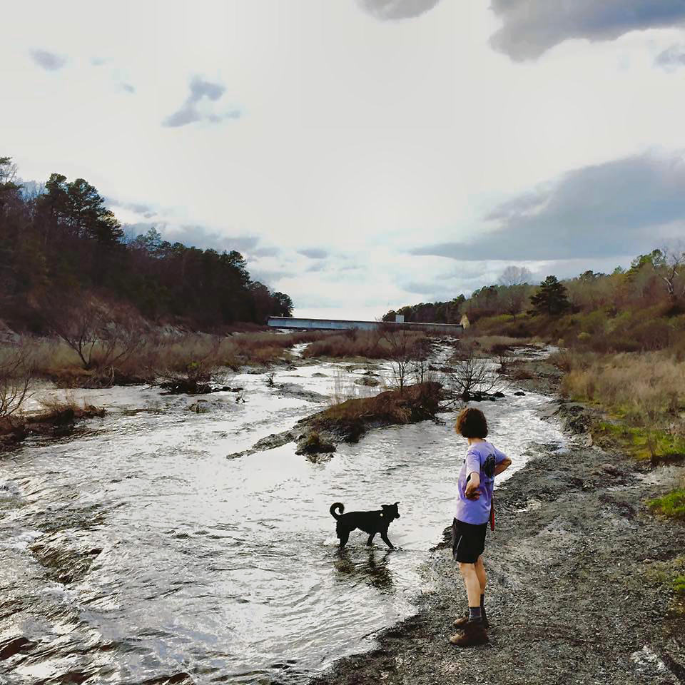 click for larger size