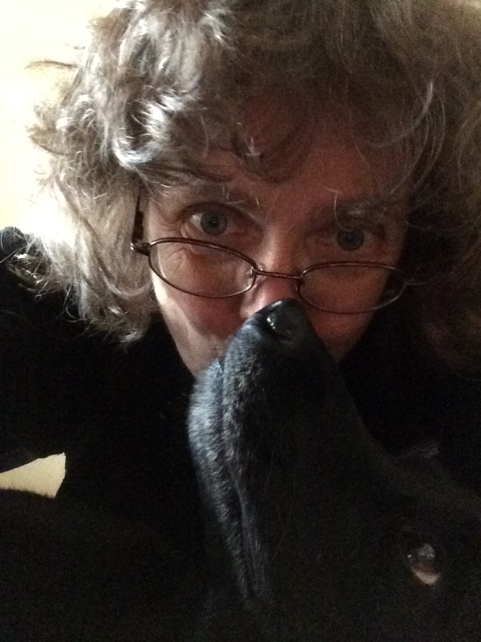 click for larger size