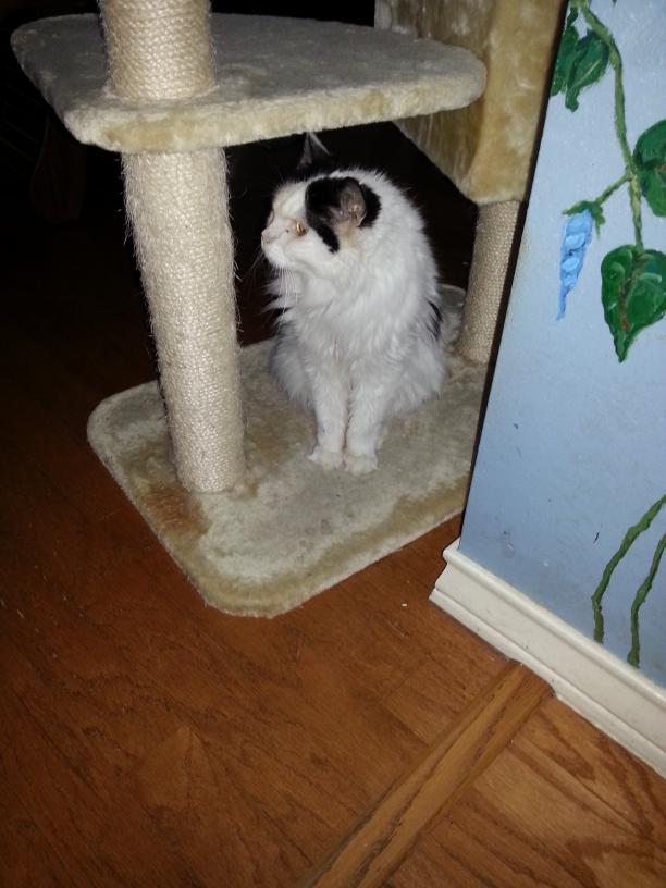 click for larger size