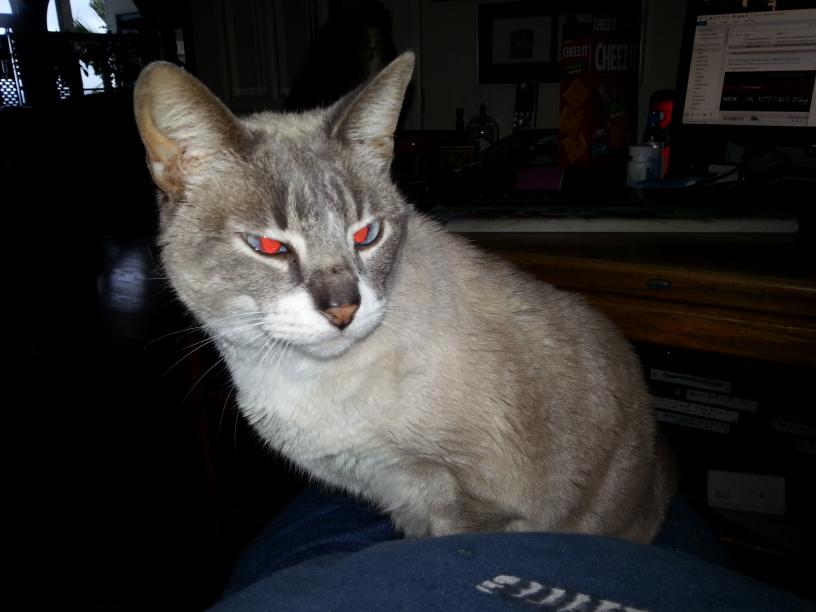 click for larger size