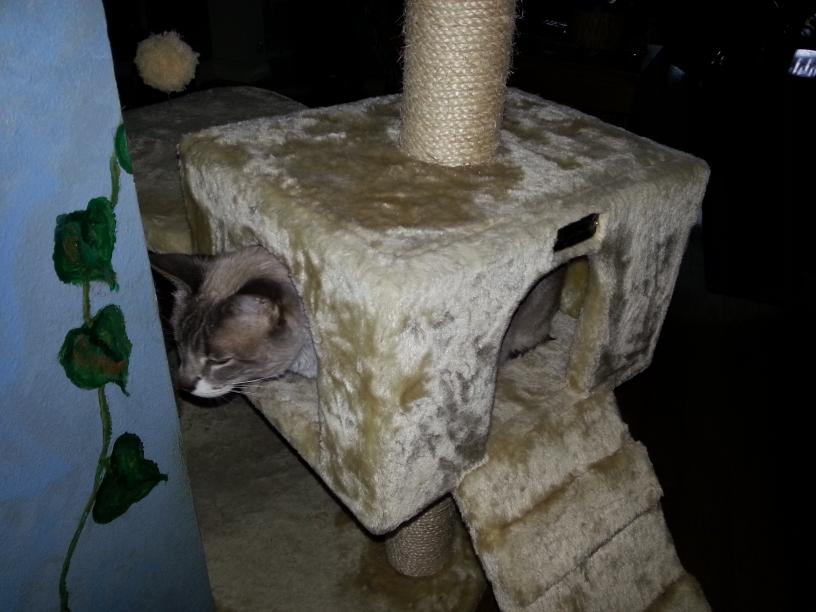 click for larger size