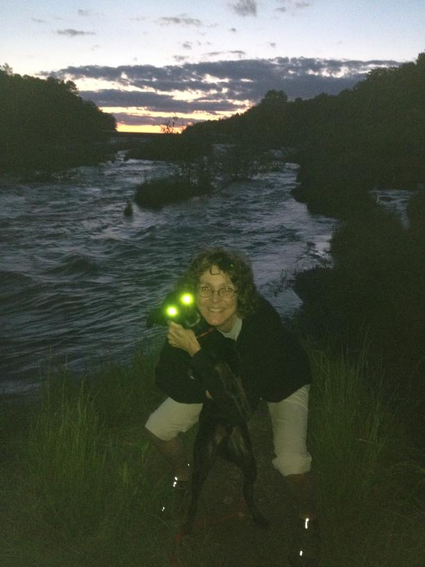 click for larger size