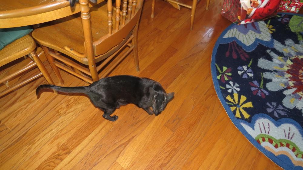 click for larger size