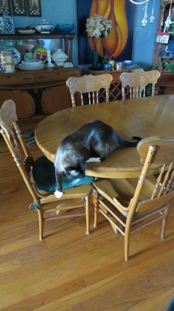 click for larger size