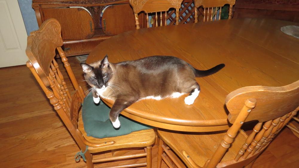 click for larger size