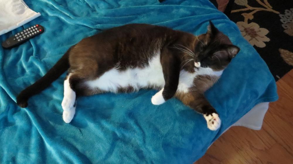 click for larger size