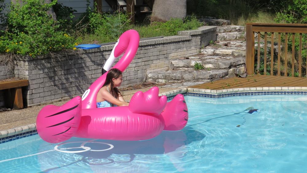 click for larger size