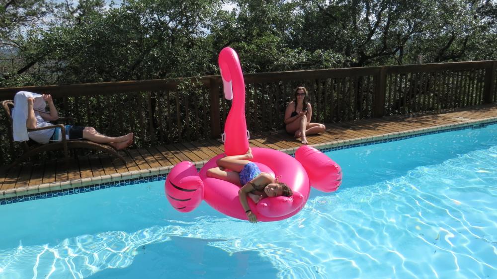 click for larger size