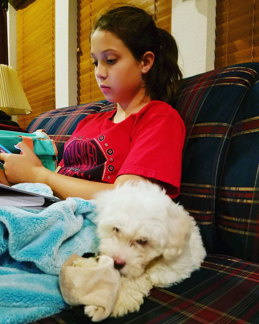 click for larger size