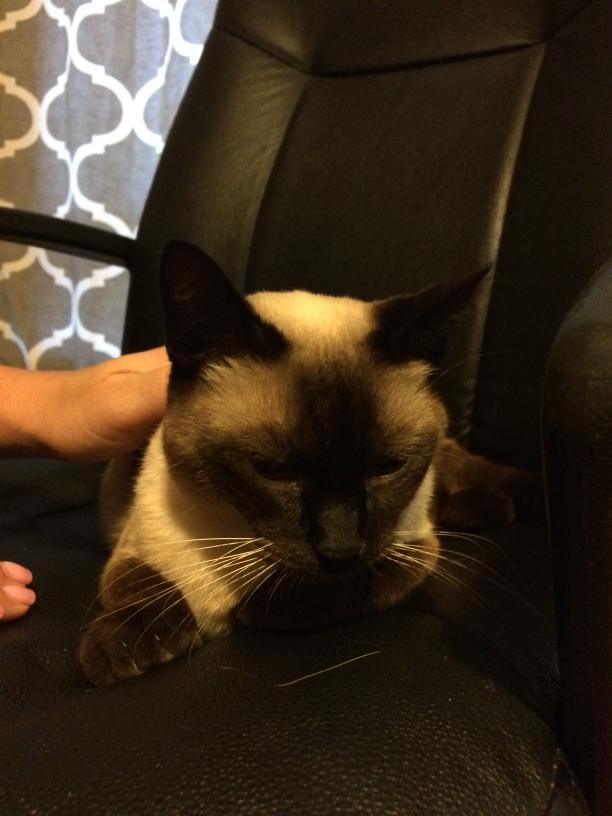 click for larger size