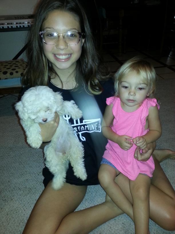 click for larger size