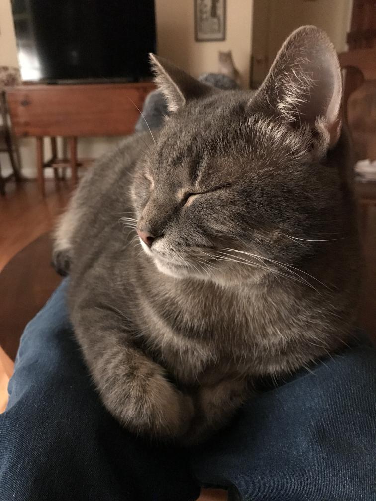 click for larger size