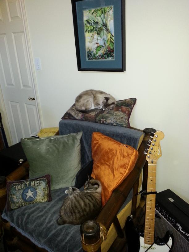 click for larger size